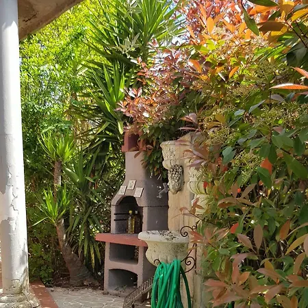 Apartment Margherita's Garden Half